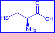 L-cysteine - structural formula