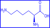 lysine - structural formula