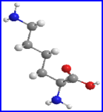 Lysine3 D structure