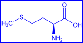 lysine - structural formula