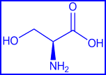 lysine - structural formula