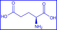 L-glutamic acid - structural formula