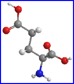 L-glutamic acid 3 D structure